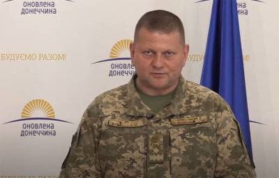 Владимир Зеленский - Дмитрий Разумков - Валерий Залужный - Новый главком ВСУ запретил украинским политикам посещать зону ООС в Донбассе - topwar.ru - Украина