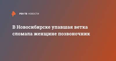 В Новосибирске упавшая ветка сломала женщине позвоночник - ren.tv - Россия - Новосибирск - Новосибирская обл. - район Советский, Новосибирск