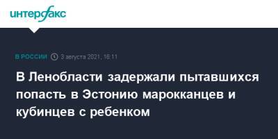 В Ленобласти задержали пытавшихся попасть в Эстонию марокканцев и кубинцев с ребенком - interfax.ru - Москва - Россия - Ленинградская обл. - Эстония - Куба - Марокко