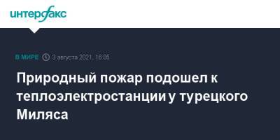 Бекир Пакдемирли - Природный пожар подошел к теплоэлектростанции у турецкого Миляса - interfax.ru - Москва - Турция