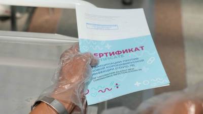 Василий Голубев - В Ростовской области для посещения организаций потребуют справку о прививке или ПЦР-тест - iz.ru - Израиль - Ростовская обл.