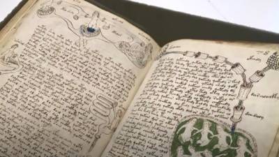 Самая загадочная книга в мире: о чем написано в манускрипте Войнича? - 5-tv.ru