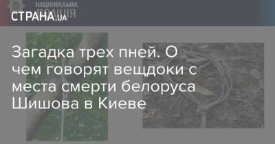 Игорь Клименко - Виталий Шишов - Загадка трех пней. О чем говорят вещдоки с места смерти белоруса Шишова в Киеве - strana.ua - Украина - Киев