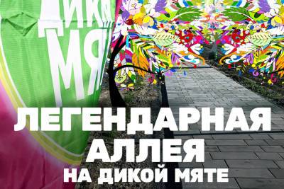 На поле фестиваля «Дикая Мята» будет заложена аллея в честь партнеров и музыкантов - tula.mk.ru - Тульская обл.