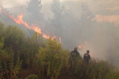 Реджеп Тайип Эрдоган - В Турции удалось взять под контроль почти все лесные пожары - argumenti.ru - Турция - провинция Анталья