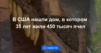 В США нашли дом, в котором 35 лет жили 450 тысяч пчел - news.mail.ru - USA - шт.Пенсильвания