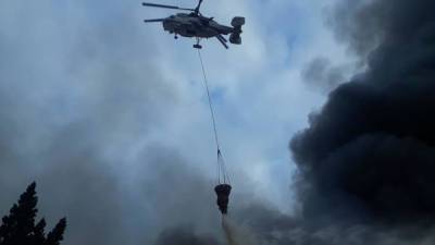 Надир Насиров - В Лянкяранском районе возник лесной пожар, к тушению привлечен вертолет - trend.az - Азербайджан