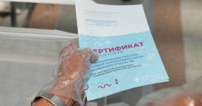Василий Голубев - В Ростовской области ужесточат ограничения по коронавирусу с 4 августа - ren.tv - Ростовская обл.
