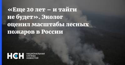 Алексей Ярошенко - «Еще 20 лет – и тайги не будет». Эколог оценил масштабы лесных пожаров в России - nsn.fm - Россия - Московская обл. - респ. Саха