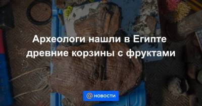 Археологи нашли в Египте древние корзины с фруктами - news.mail.ru - Египет - г. Александрия