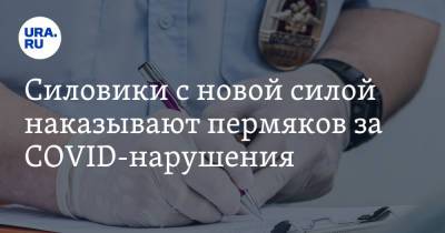 Силовики с новой силой наказывают пермяков за COVID-нарушения - ura.news - Россия - Пермь - Пермский край