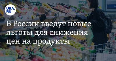 Владимир Плотников - В России введут новые льготы для снижения цен на продукты - ura.news - Россия - Волгоградская обл.