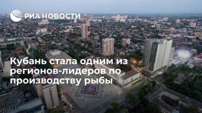 Замглавы Краснодарского края Коробка: Кубань стала одним из лидеров по производству аквакультуры - smartmoney.one - Краснодарский край