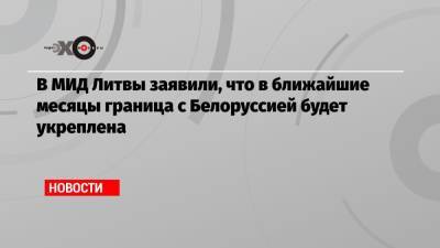 Мантас Адоменас - В МИД Литвы заявили, что в ближайшие месяцы граница с Белоруссией будет укреплена - echo.msk.ru - Москва - Белоруссия - Литва