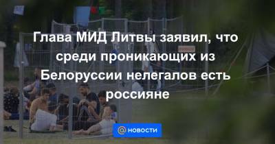Глава МИД Литвы заявил, что среди проникающих из Белоруссии нелегалов есть россияне - news.mail.ru - Москва - Россия - Белоруссия - Турция - Ирак - Литва - Вильнюс