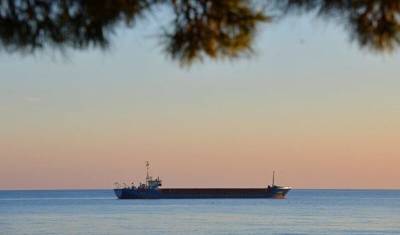 Marine Traffic - В Оманском заливе захватили панамское судно - newizv.ru - Иран - Эмираты - Сингапур - Reuters