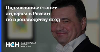 Андрей Воробьев - Подмосковье станет лидером в России по производству ягод - nsn.fm - Россия - Московская обл. - Московская область