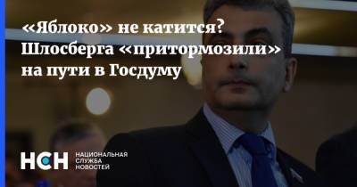 Лев Шлосберг - «Яблоко» не катится? Шлосберга «притормозили» на пути в Госдуму - nsn.fm - Москва - Псковская обл.