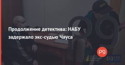 Николай Чаус - Продолжение детектива: НАБУ задержало экс-судью Чауса - thepage.ua - Украина - Киев