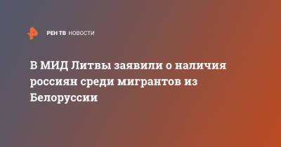 В МИД Литвы заявили о наличия россиян среди мигрантов из Белоруссии - ren.tv - Москва - Россия - Белоруссия - Турция - Ирак - Литва - Вильнюс
