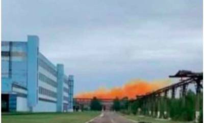 Из-за аварии на заводе Фирташа возле Ровно в почве в 10 раз превышено содержание опасных веществ - lenta.ua - Украина - Экология