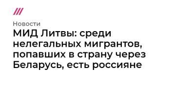 Александр Лукашенко - МИД Литвы: среди нелегальных мигрантов, попавших в страну через Беларусь, есть россияне - tvrain.ru - Россия - Белоруссия - Ирак - Литва