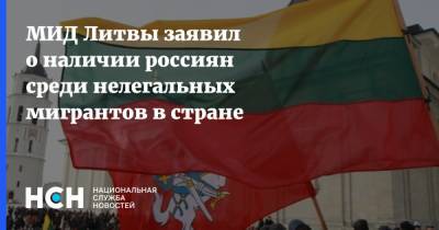 Ингрида Шимоните - МИД Литвы заявил о наличии россиян среди нелегальных мигрантов в стране - nsn.fm - Москва - Белоруссия - Литва