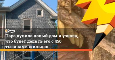 Пара купила новый дом и узнала, что будет делить его с 450 тысячами жильцов - ridus.ru - шт.Пенсильвания