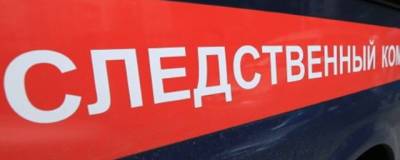Недалеко от трассы в Новосибирской области нашли мумифицированное тело - runews24.ru - Россия - Новосибирск - Новосибирская обл.