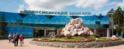 51-летняя женщина внезапно скончалась в Новосибирском зоопарке - runews24.ru - Россия - Новосибирск - Новосибирская обл.