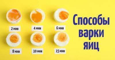 Сколько минут варить яйца, чтобы желток вытекал, а белок был упругим - skuke.net