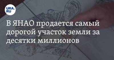 В ЯНАО продается самый дорогой участок земли за десятки миллионов - ura.news - Сургут - Салехард - окр. Янао