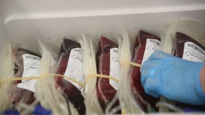 Врач назвала группу крови «универсального донора» - iz.ru - Израиль