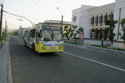 Спил 99 деревьев потребуется в Чите для продления троллейбусного маршрута №1 - chita.ru - Россия - Чита