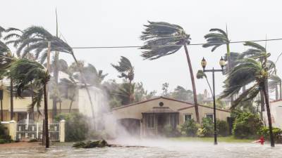 Удар стихии: ураган «Ида» грозит Новому Орлеану затоплением - mir24.tv - USA - штат Луизиана - штат Миссисипи