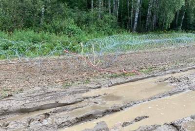 Мариуш Каминьский - В Польше неизвестные сломали забор на границе с Беларусью - kp.ua - Украина - Белоруссия - Польша - Голландия