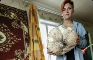 Жительница Лиды нашла гриб-гигант. Он весил более 5,5 кг - grodnonews.by - Белоруссия