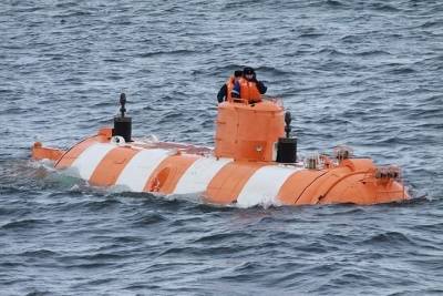 Учения по спасению подводников прошли в Баренцевом море - murmansk.mk.ru