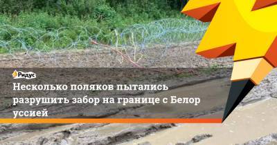 Анна Михальская - Несколько поляков пытались разрушить забор награнице сБелоруссией - ridus.ru - Белоруссия - Польша