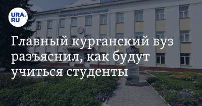 Главный курганский вуз разъяснил, как будут учиться студенты - ura.news - Курган