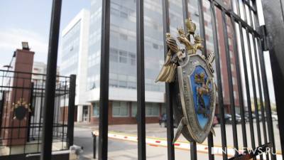 Змея укусила девочку в лицо в контактном зоопарке. Идет проверка СКР - newdaynews.ru - Екатеринбург