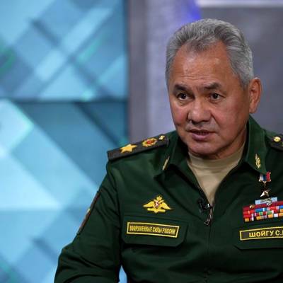Сергей Шойгу - Шойгу: Россия столкнулась в Сирии с высокопрофессиональными террористами - radiomayak.ru - Россия - Сирия