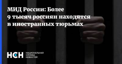 Григорий Лукьянцев - МИД России: Более 9 тысяч россиян находятся в иностранных тюрьмах - nsn.fm - Россия - Россияне