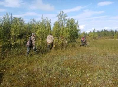 На Ямале в болотистой местности найдено тело пропавшей девушки - znak.com - окр. Янао