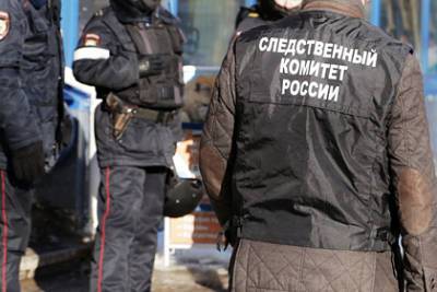 Найденную убитой в Башкирии 15-летнюю девочку перед смертью изнасиловали - lenta.ru - Башкирия