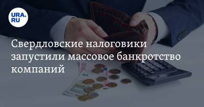 Свердловские налоговики запустили массовое банкротство компаний - ura.news - Россия - Свердловская обл.