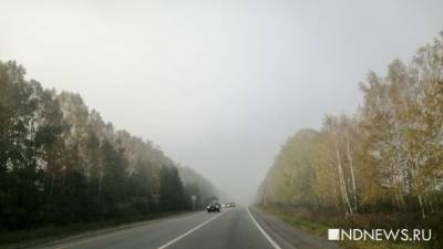В Свердловской области горит почти 8 тысяч гектаров леса (ФОТО) - newdaynews.ru - Екатеринбург - Свердловская обл.