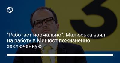 Денис Малюська - "Работает нормально". Малюська взял на работу в Минюст пожизненно заключенную - liga.net - Украина