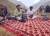 Талибы расстреляли в Афганистане известного фольклорного певца и музыканта - udf.by - Афганистан