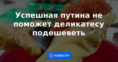Успешная путина не поможет деликатесу подешеветь - news.mail.ru